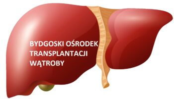 Different flat human organs set with brain heart lungs stomach bowels kidneys isolated on white background vector illustration